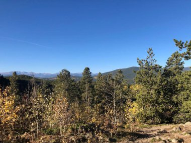 ABD 'nin Golden Gate Eyalet Parkı' nda sonbaharda ağaçların ve dağların manzarası