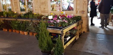 Zaragoza, İspanya: 11 Aralık 2019: Zaragoza 'da Noel pazarı