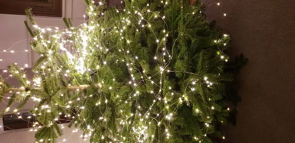 Kerstboom Versierd Met Wit Licht — Stockfoto