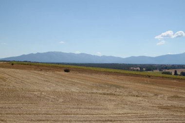 İspanya, Castilla Leon 'da yaz sonunda kuru tarım arazileri.