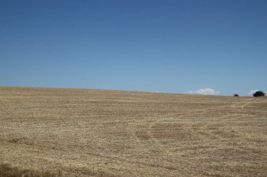 İspanya, Castilla Leon 'da yaz sonunda kuru tarım arazileri.