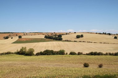 İspanya, Castilla Leon 'da yaz sonunda kuru tarım arazileri.