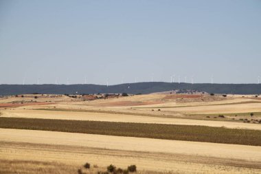 İspanya, Castilla Leon 'da yaz sonunda kuru tarım arazileri.
