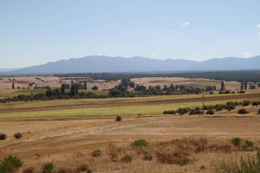 İspanya, Castilla Leon 'da yaz sonunda kuru tarım arazileri.
