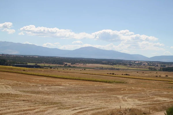 Táj Száraz Mezőgazdasági Mezők Végén Nyár Castilla Leon Spanyolország — Stock Fotó
