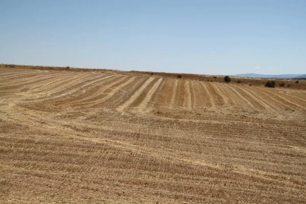 スペインのカスティーリャ レオン州の夏の終わりの乾燥した農地の風景 — ストック写真