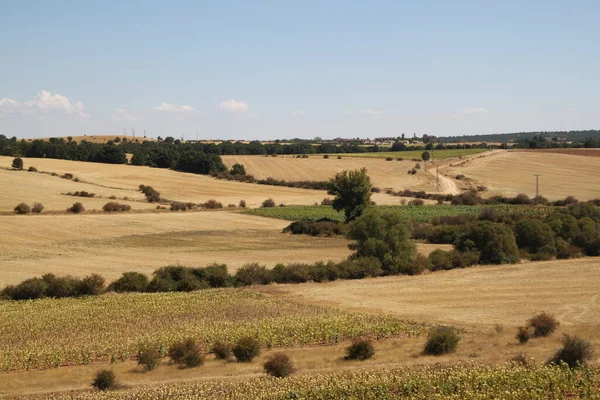 Paisaje Campos Cultivo Seco Final Del Verano Castilla León España —  Fotos de Stock