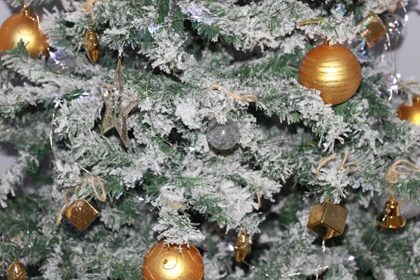 황금빛 크리스마스 눈덮인 전나무 크리스마스 — 스톡 사진