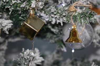 Noel arkaplanı, beyaz karlı yeşil köknar ağacı Noel süslemeleri.