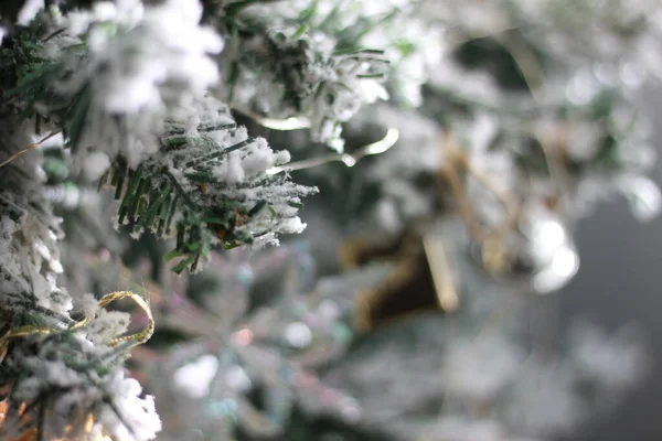 크리스마스 장식의 배경은 자연광으로 나무에 있습니다 크리스마스 장식에 알아보겠습니다 크리스마스 — 스톡 사진