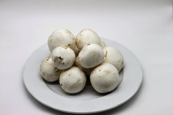 Saubere Pilze Zum Kochen Bereit — Stockfoto