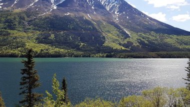 Alaska ve Kanada sınırındaki dağlar, mavi sular ve yeşil ağaçların manzarası