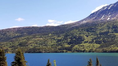 Alaska ve Kanada sınırındaki dağlar, mavi sular ve yeşil ağaçların manzarası