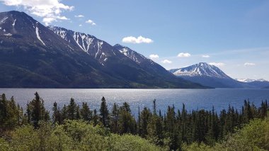 Alaska ve Kanada sınırındaki dağlar, mavi sular ve yeşil ağaçların manzarası
