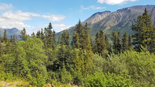 Hegyek Kék Vizek Zöld Fák Vidéke Alaszka Kanada Határán Tavasszal — Stock Fotó