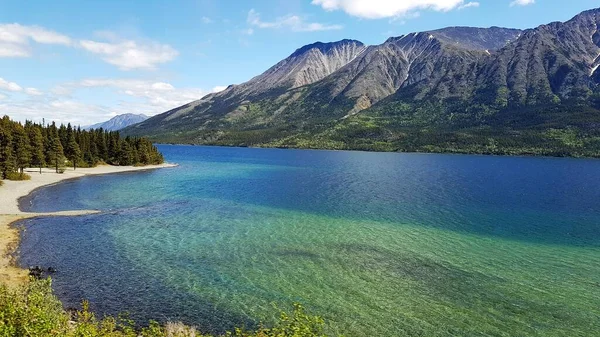 Krajobraz Gór Błękitnych Wód Zielonych Drzew Granicy Alaski Kanady Wiosną — Zdjęcie stockowe