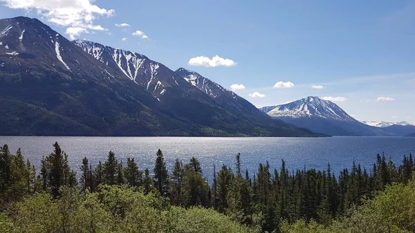 Пейзаж Гор Голубых Вод Зеленых Деревьев Границе Аляски Канады Весной — стоковое фото