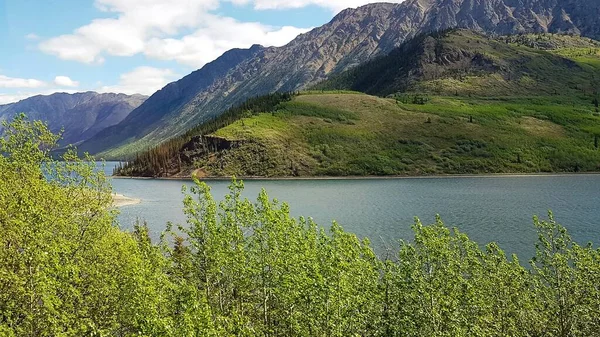 春のアラスカとカナダの国境にある山 青い海 緑の木の風景 — ストック写真