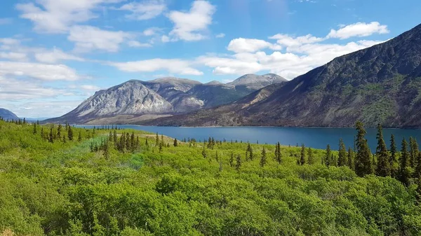 春のアラスカとカナダの国境にある山 青い海 緑の木の風景 — ストック写真