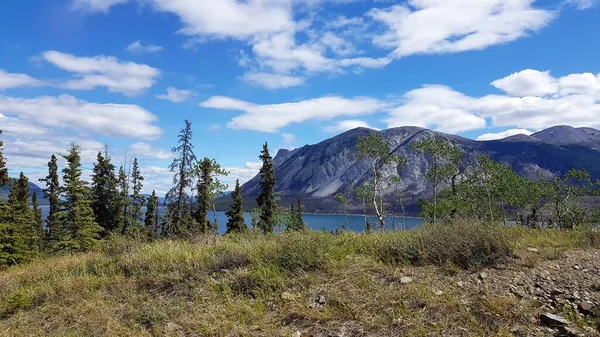 Landscape Mountains Blue Waters Green Trees Border Alaska Canada Spring — Stock Photo, Image