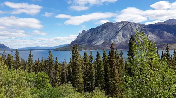 Landscape Mountains Blue Waters Green Trees Border Alaska Canada Spring — Stock Photo, Image