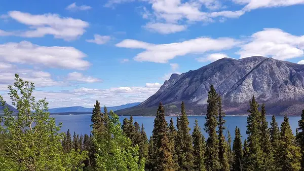 Paesaggio Montagne Acque Blu Alberi Verdi Confine Tra Alaska Canada — Foto Stock