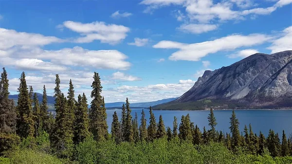 Paesaggio Montagne Acque Blu Alberi Verdi Confine Tra Alaska Canada — Foto Stock