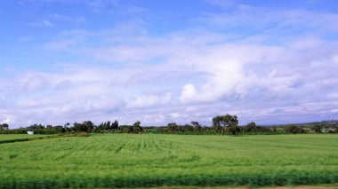 Kenya 'daki tarımsal alanların bulanık manzarası mavi gökyüzü ve beyaz bulutlar