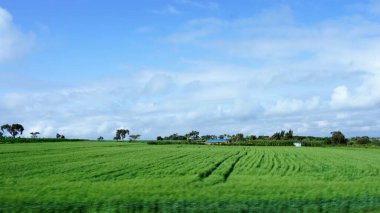Kenya 'daki tarımsal alanların bulanık manzarası mavi gökyüzü ve beyaz bulutlar