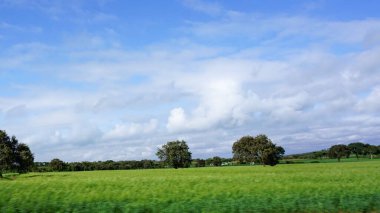 Kenya 'daki tarımsal alanların bulanık manzarası mavi gökyüzü ve beyaz bulutlar