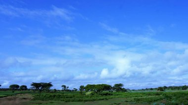 Kenya 'daki tarımsal alanların bulanık manzarası mavi gökyüzü ve beyaz bulutlar