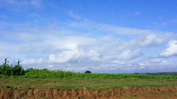 Paysage Flou Des Champs Agricoles Kenya Avec Ciel Bleu Nuages — Photo
