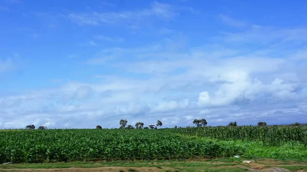 blurred landscape of agricultural fields in Kenya with blue sky and white clouds