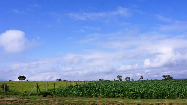 Paisagem Turva Campos Agrícolas Quênia Com Céu Azul Nuvens Brancas — Fotografia de Stock