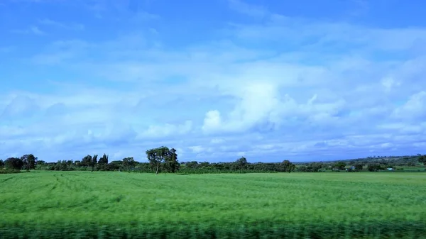 blurred landscape of agricultural fields in Kenya with blue sky and white clouds