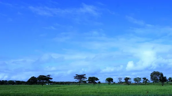 Размытый Ландшафт Сельскохозяйственных Полей Кении Голубым Небом Белыми Облаками — стоковое фото