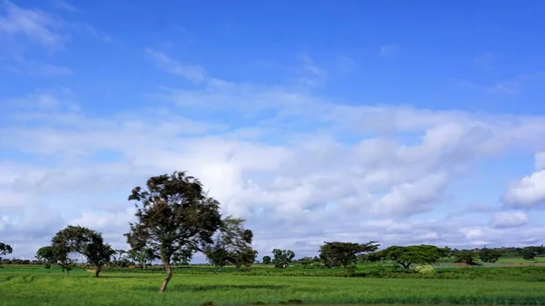 Размытый Ландшафт Сельскохозяйственных Полей Кении Голубым Небом Белыми Облаками — стоковое фото