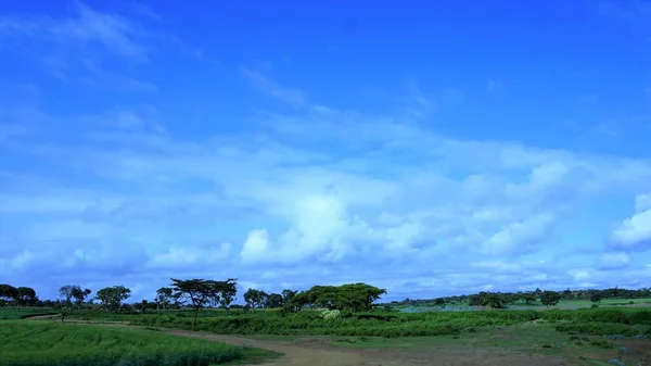 blurred landscape of agricultural fields in Kenya with blue sky and white clouds