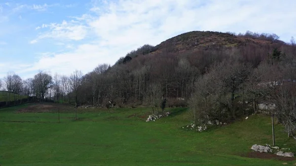 Paysage Une Petite Colline Côté Mont Adarra Guipuzcoa Pais Vasco — Photo