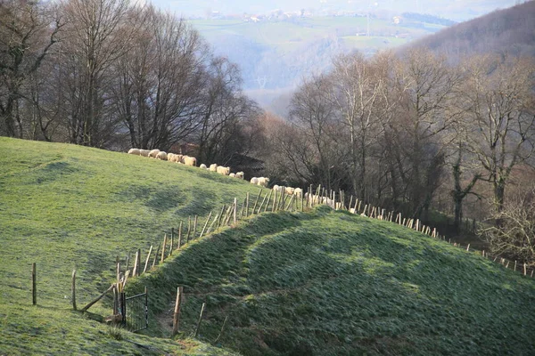 Paisaje Montaña Monte Adarra País Vasco Día Invierno Frío Soleado —  Fotos de Stock