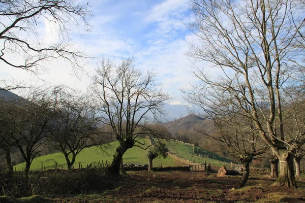 Berglandschaft Auf Dem Berg Adarra Baskenland Einem Kalten Und Sonnigen — Stockfoto