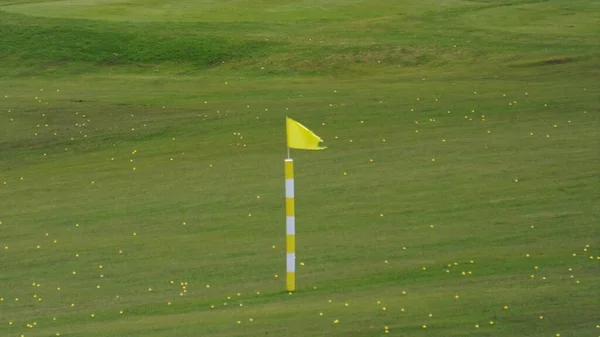 Sárga Zászló Füvön Egy Golfpálya Sok Sárga Golflabda Szétszórva Fűben — Stock Fotó