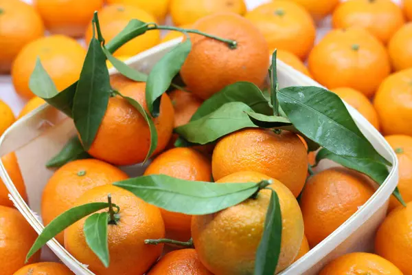 Fondo Mandarinas Con Hojas Verdes Sobre Fondo Blanco Concepto Comida — Foto de Stock