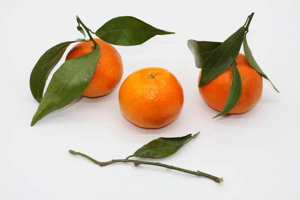 Mandarinen Hintergrund Mit Grünen Blättern Auf Weißem Hintergrund Konzept Bio — Stockfoto