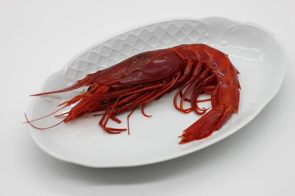大型鲜红虾 嘉年华 — 图库照片