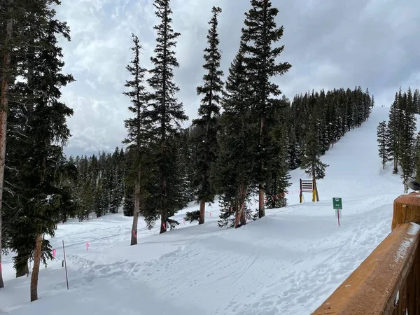 Pista Esquí Con Pinos Verdes Keystone Ski Resort Colorado Estados — Foto de Stock