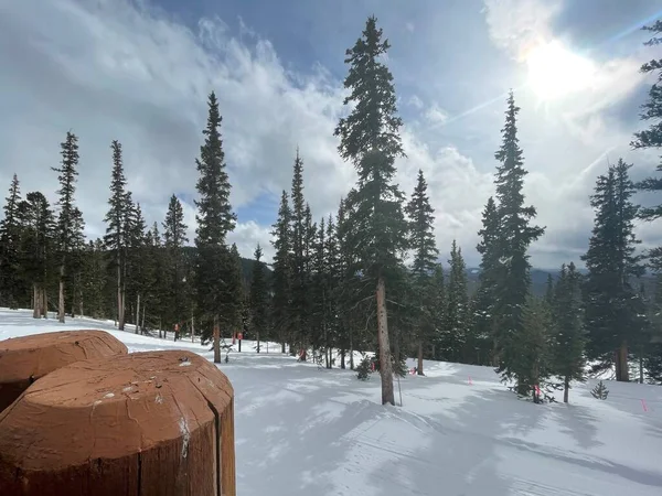 Keystone Colorado Estados Unidos Enero 2021 Paisaje Abetos Verdes Nieve — Foto de Stock