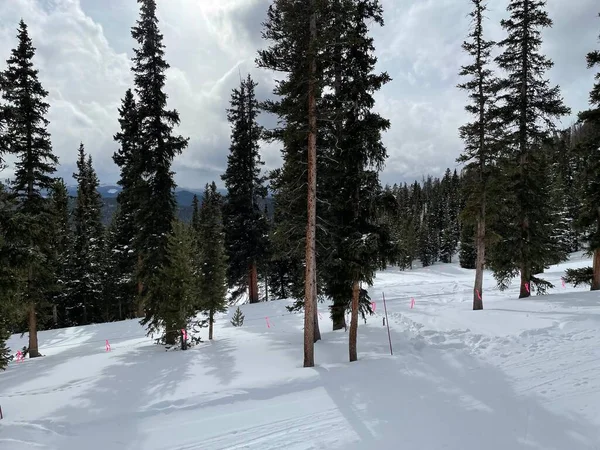 Keystone Colorado Estados Unidos Enero 2021 Paisaje Abetos Verdes Nieve — Foto de Stock