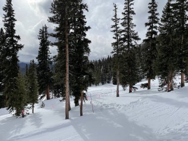 24 Ocak 2021 'de Colorado, ABD' deki bir kayak merkezinde kar üzerinde beyaz bulutlu yeşil köknar ağaçlarının manzarası.