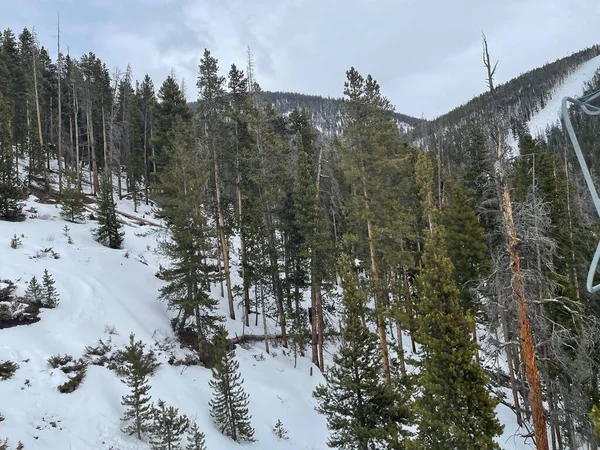 Keystone Colorado Estados Unidos Enero 2021 Paisaje Abetos Verdes Nieve — Foto de Stock